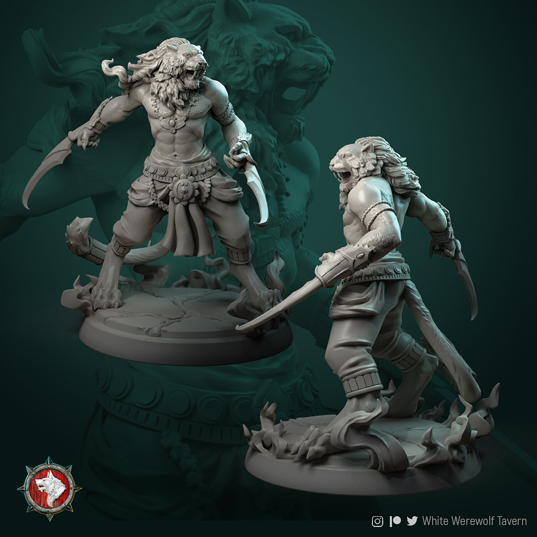 Tabaxi Bundle