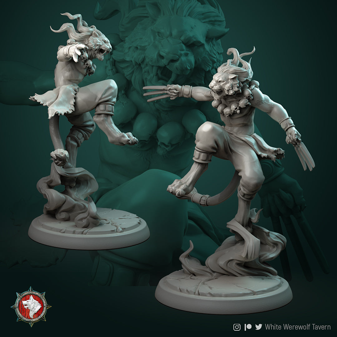 Tabaxi Bundle