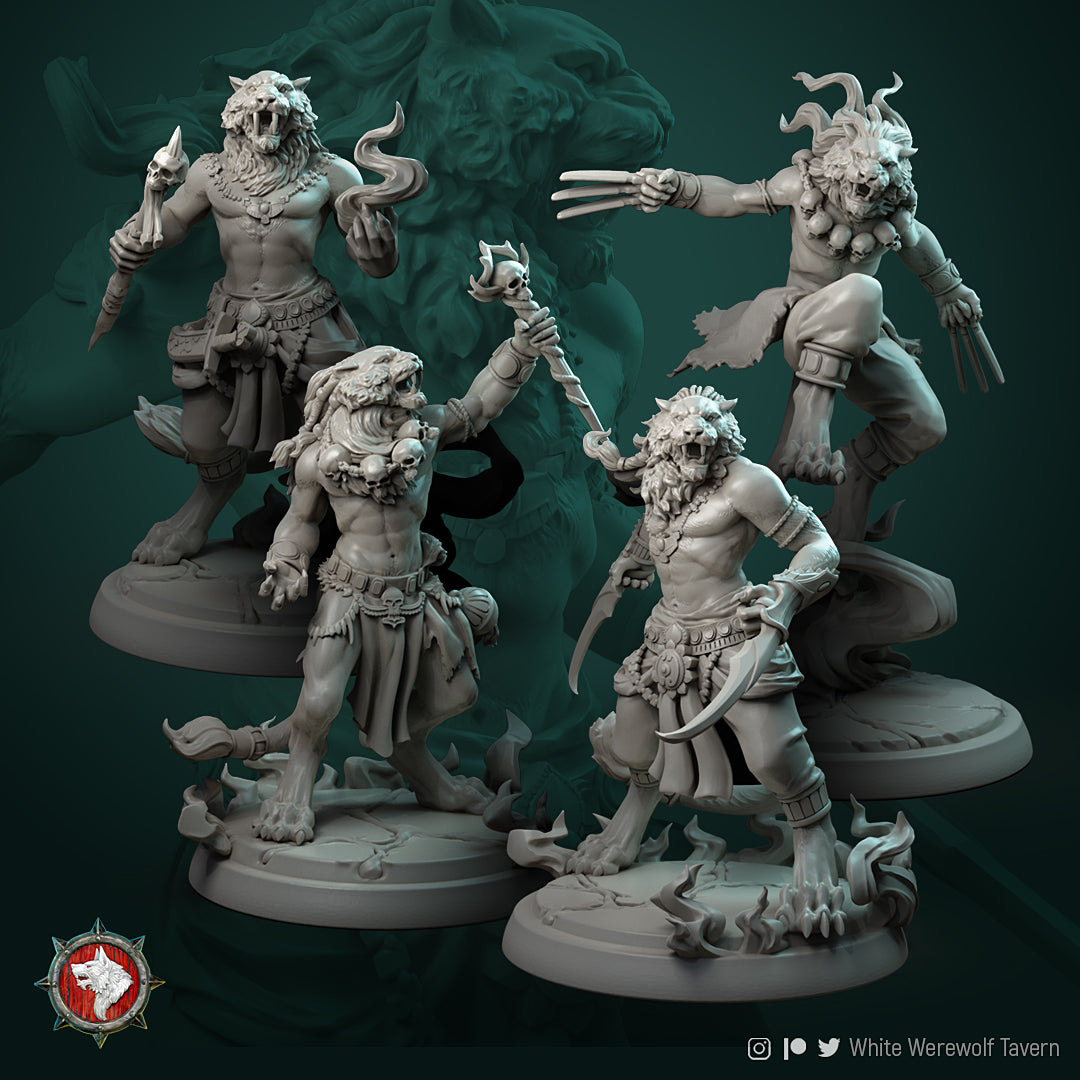 Tabaxi Bundle
