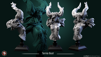 Thumbnail for Tarnia Bust