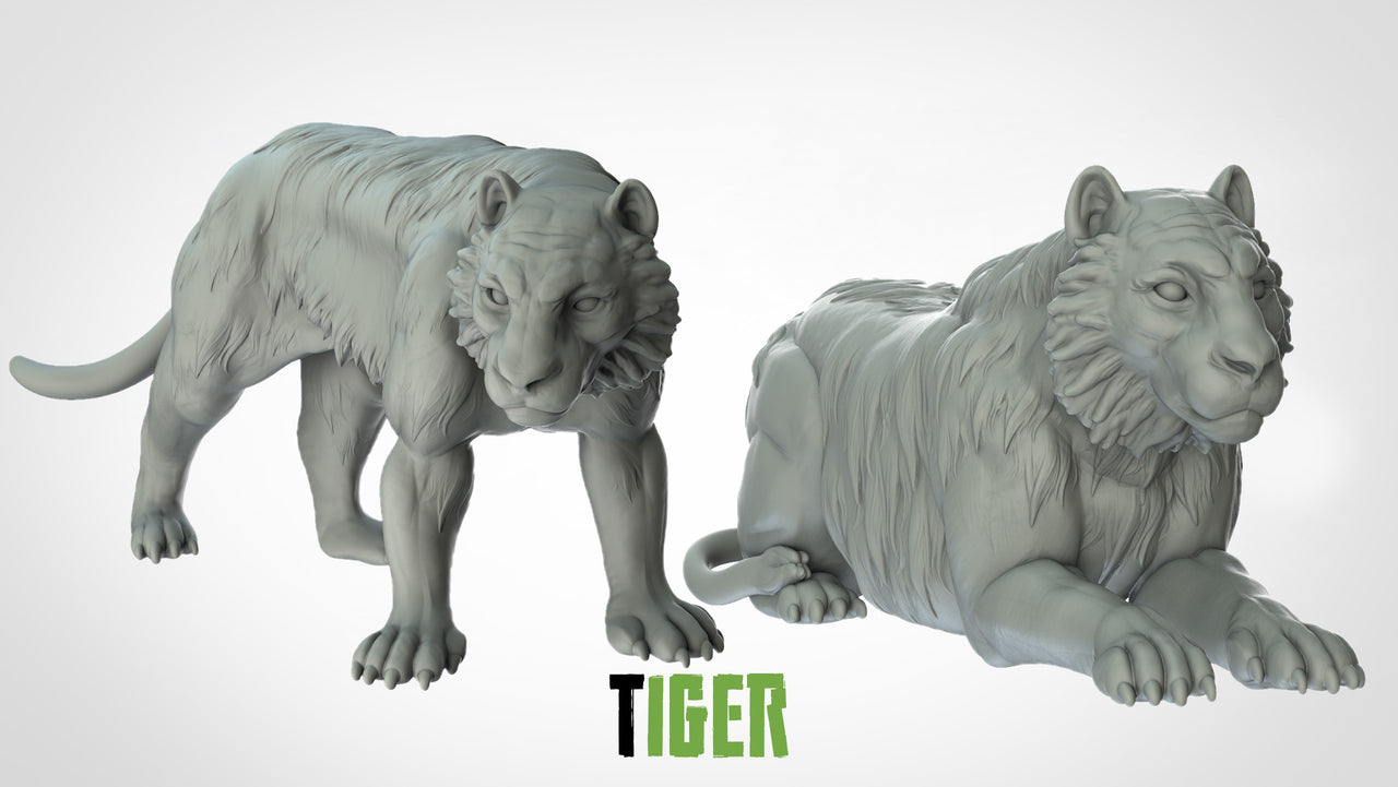 Tigers