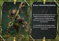 Thumbnail for Valk Oakenroamer