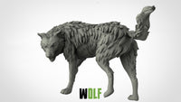 Thumbnail for Wolves
