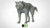 Thumbnail for Wolves