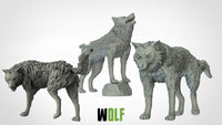 Thumbnail for Wolves