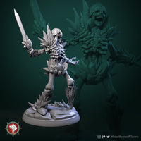 Thumbnail for Ice Skeleton Bundle