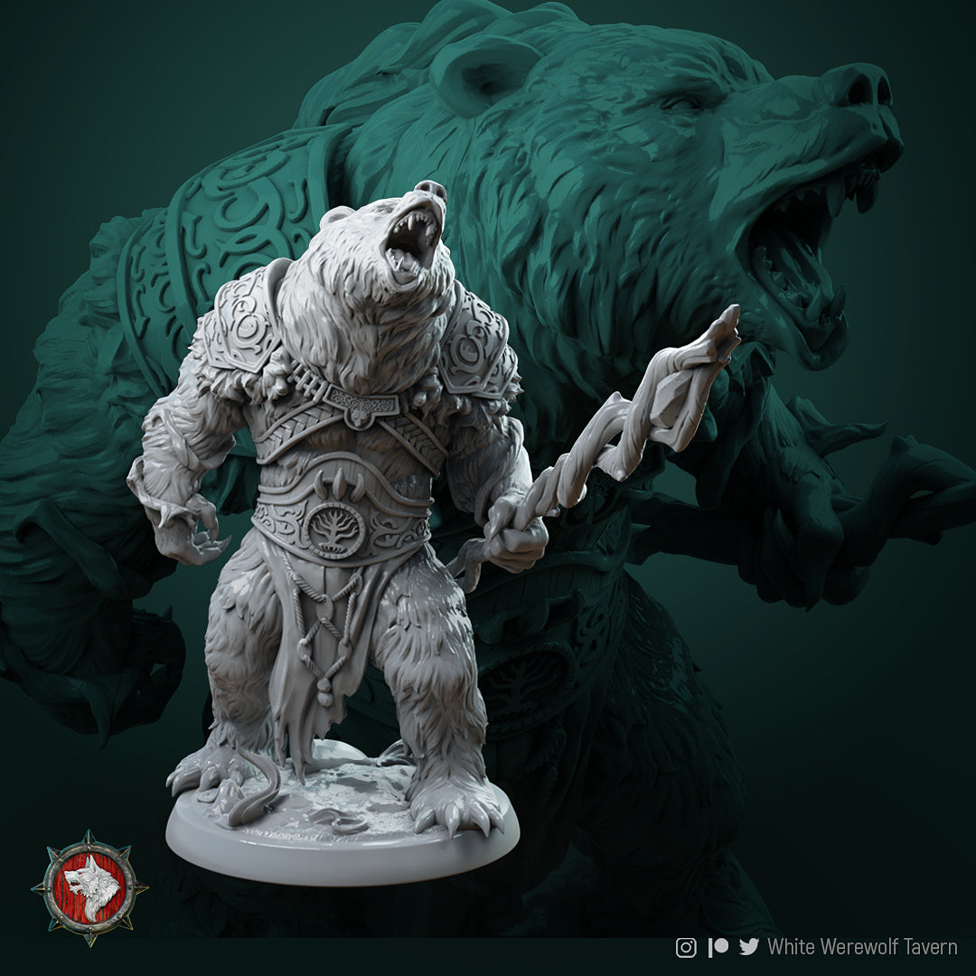 Rafinus Ursa