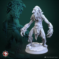 Thumbnail for Swamp Troll Bundle