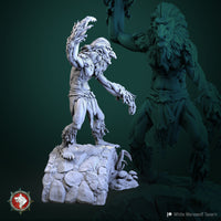 Thumbnail for Swamp Troll Bundle