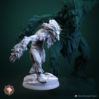 Thumbnail for Swamp Troll Bundle