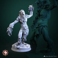 Thumbnail for Swamp Troll Bundle