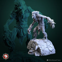 Thumbnail for Swamp Troll Bundle