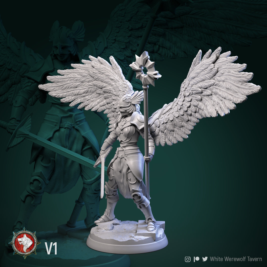 Valkyrie Bundle