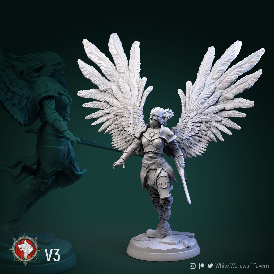 Valkyrie Bundle