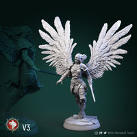 Thumbnail for Valkyrie Bundle