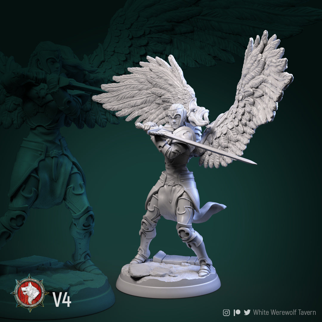 Valkyrie Bundle