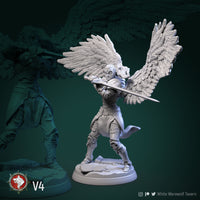 Thumbnail for Valkyrie Bundle