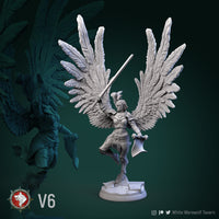 Thumbnail for Valkyrie Bundle
