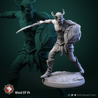 Thumbnail for Wood Elf Bundle