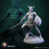 Thumbnail for Wood Elf Bundle