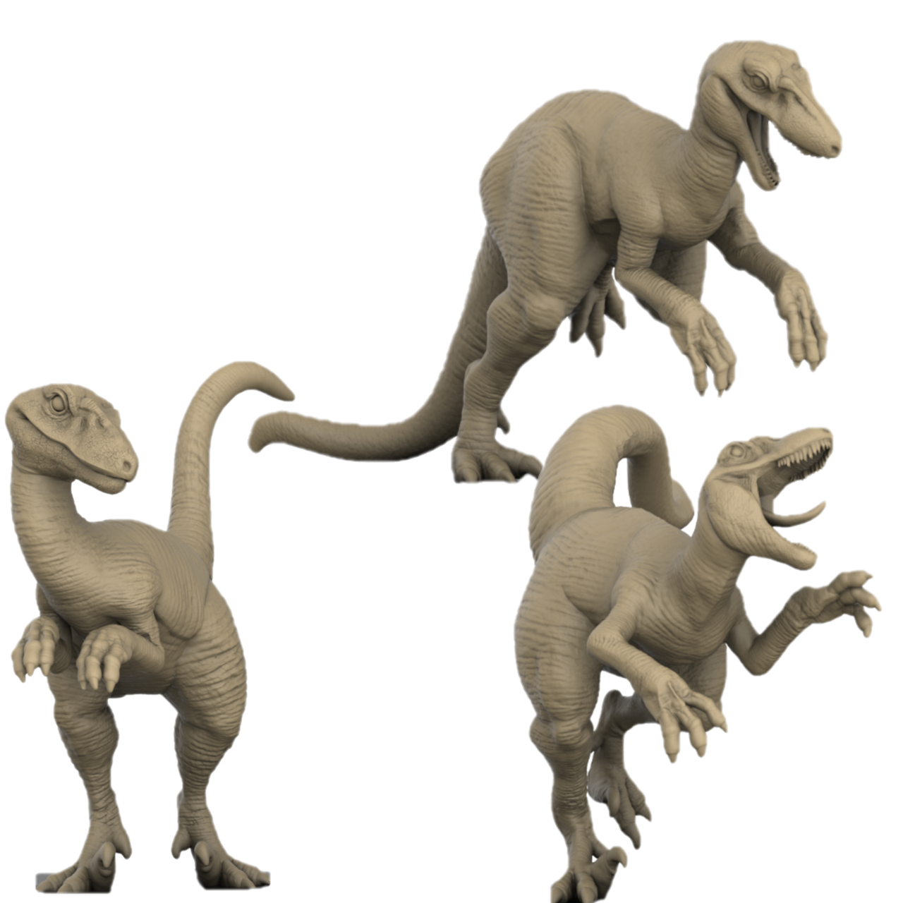 Utah Raptors Bundle