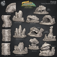 Thumbnail for Forest Terrain - Caves, Flowers, and Paths