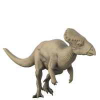Thumbnail for Graciliceratops