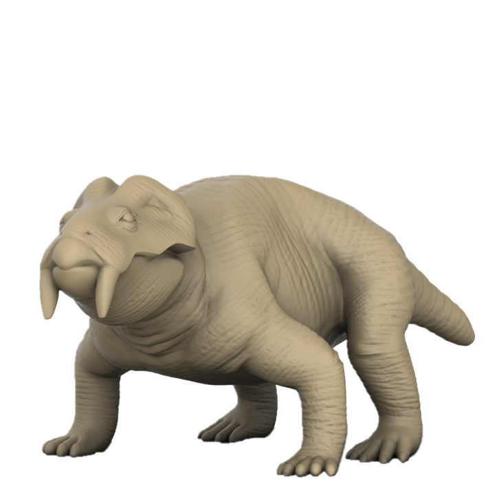 Lystrosaurus Curvatus Size