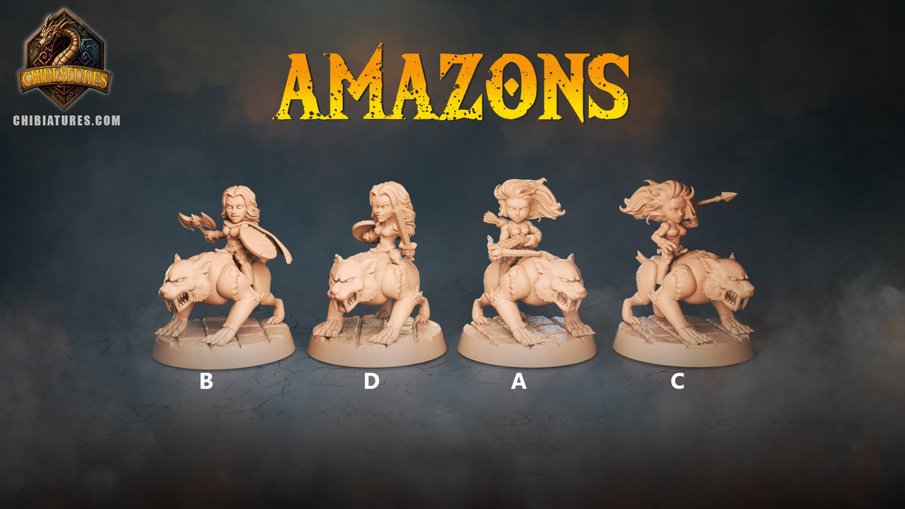 Amazon Bundle 5