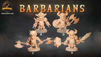 Thumbnail for Barbarian Bundle 2