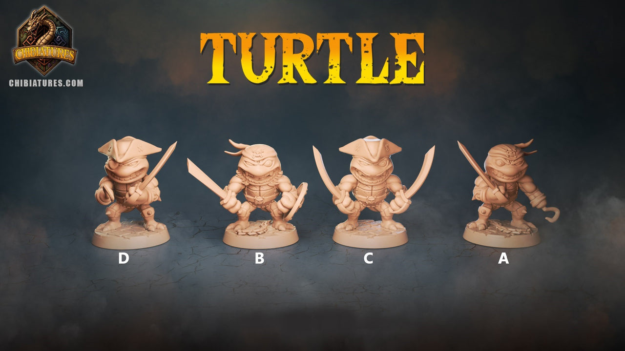Turtle Bundle 1
