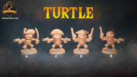 Thumbnail for Turtle Bundle 3