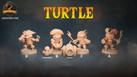 Thumbnail for Turtle Bundle 4