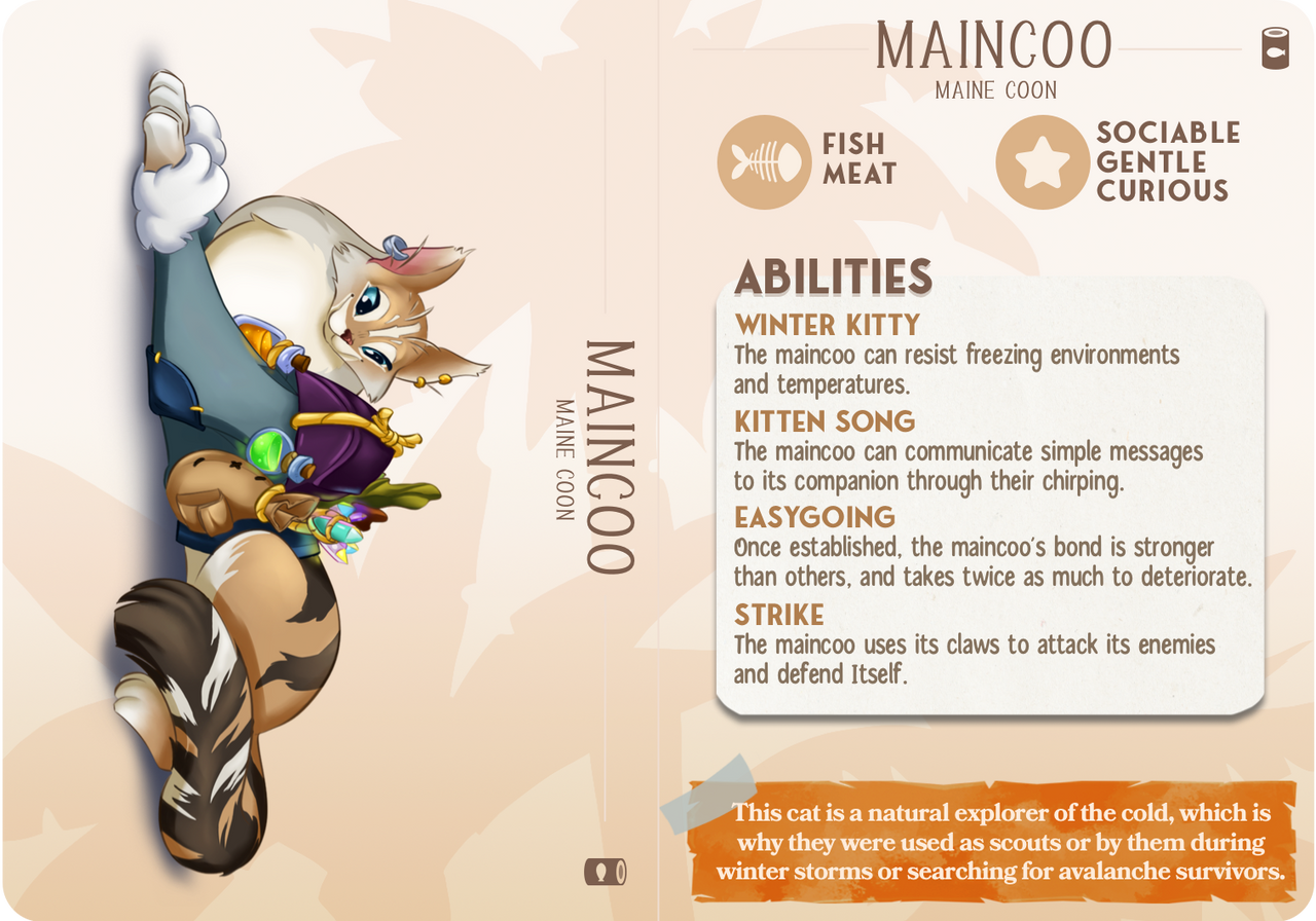 Maincoo the Maine Coon Cat