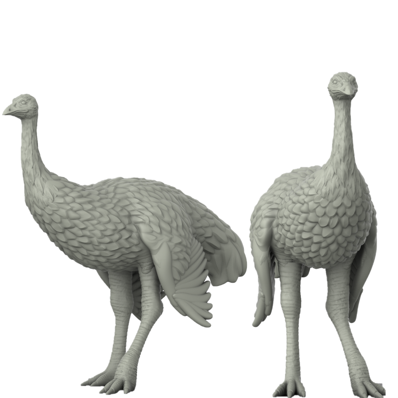 Ostrich