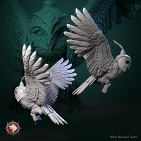 Thumbnail for Messanger Owl