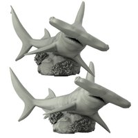 Thumbnail for Hammer Head Shark (Sphyrnidae)