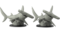 Thumbnail for Hammer Head Shark (Sphyrnidae)