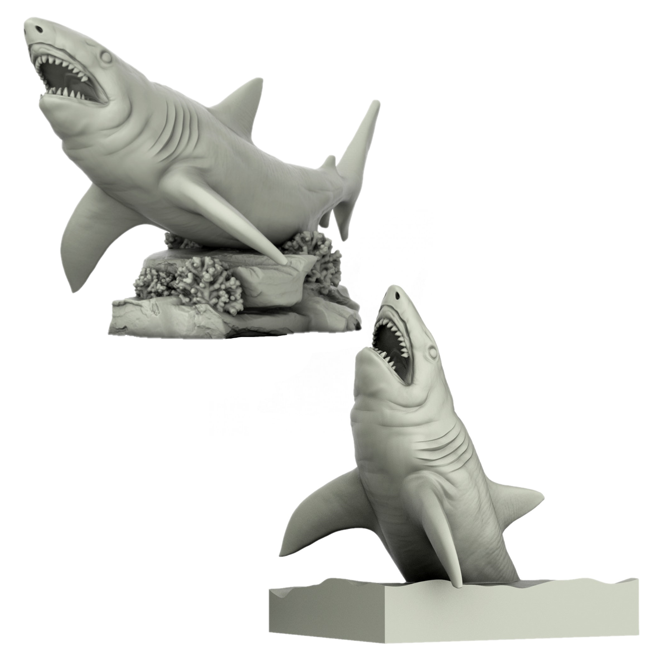 Shark Bundle