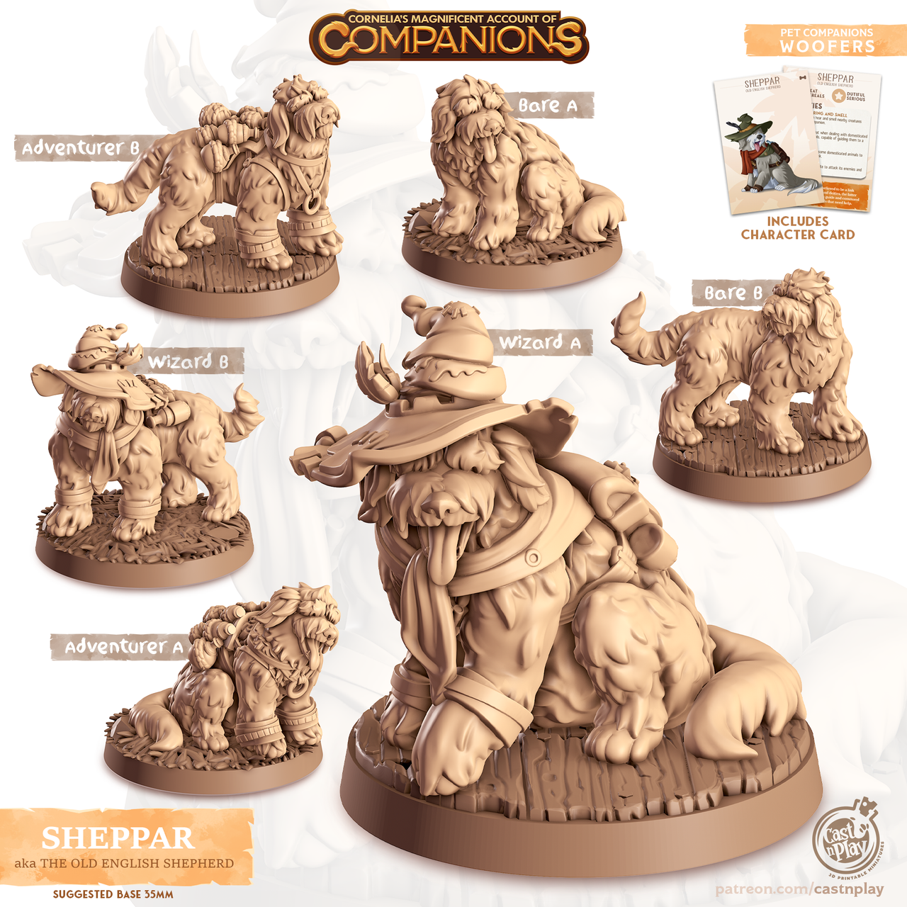 Sheppar the English Shepherd