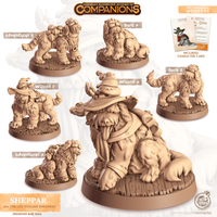 Thumbnail for Sheppar the English Shepherd