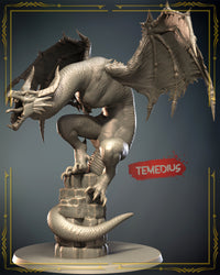 Thumbnail for Temedius