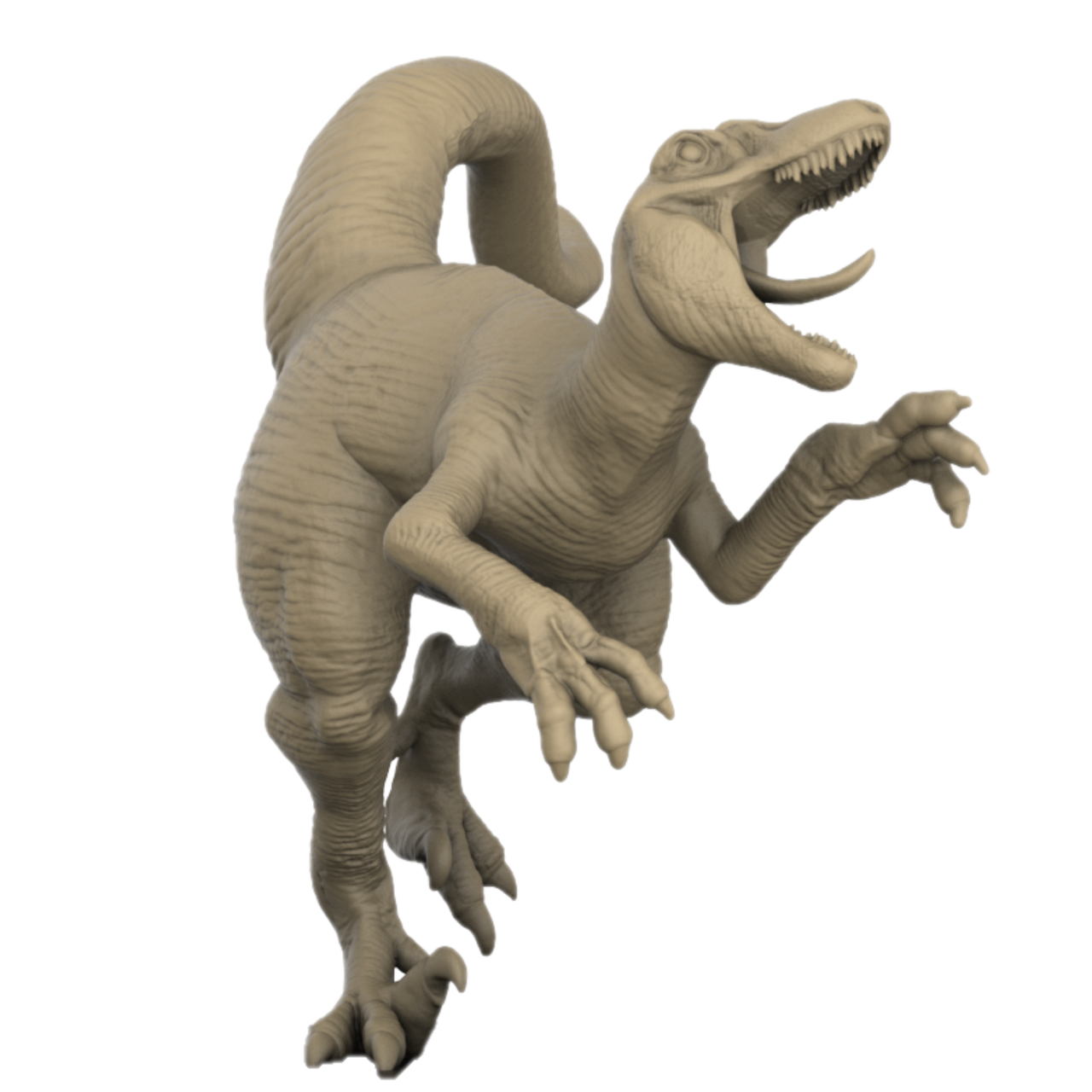 Utah Raptors Bundle