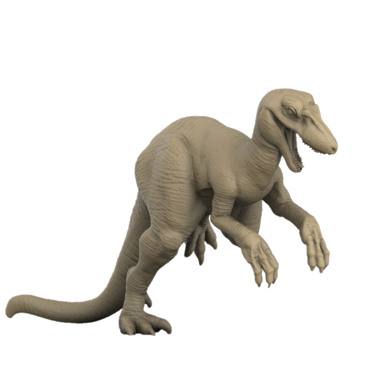 Utah Raptors Bundle