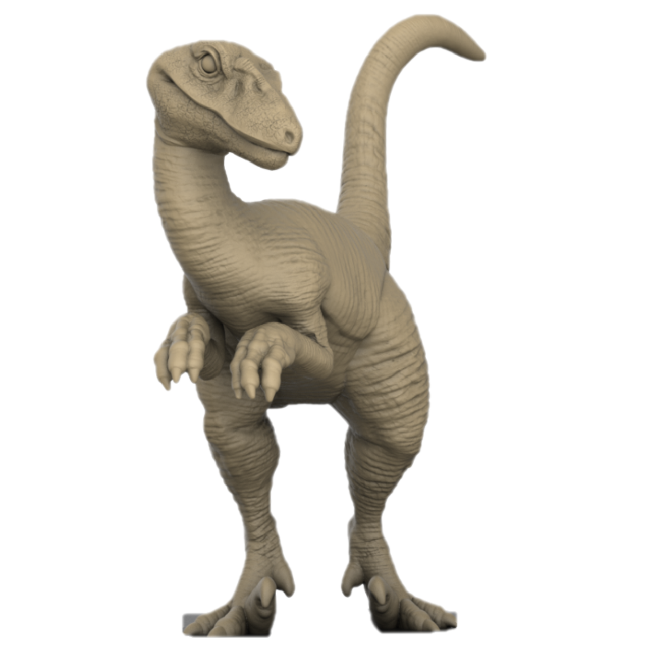 Utah Raptors Bundle