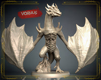 Thumbnail for Vorhus
