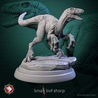 Thumbnail for Halfing Dino Mount Bundle