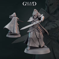 Thumbnail for Elf Fighter Warband Bundle