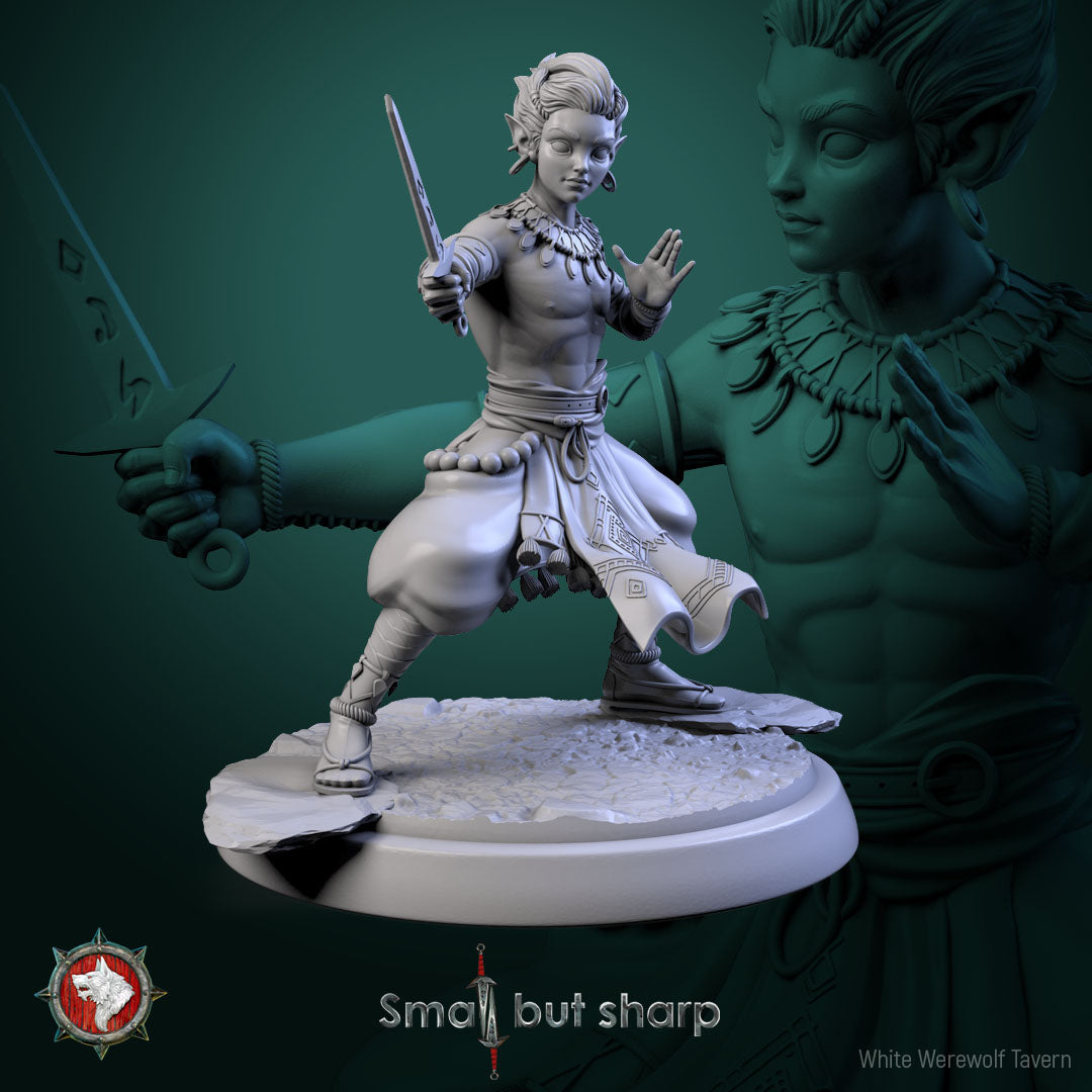 Halfing Monk Bundle