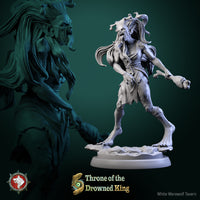 Thumbnail for Daughter of the Drowned Bundle